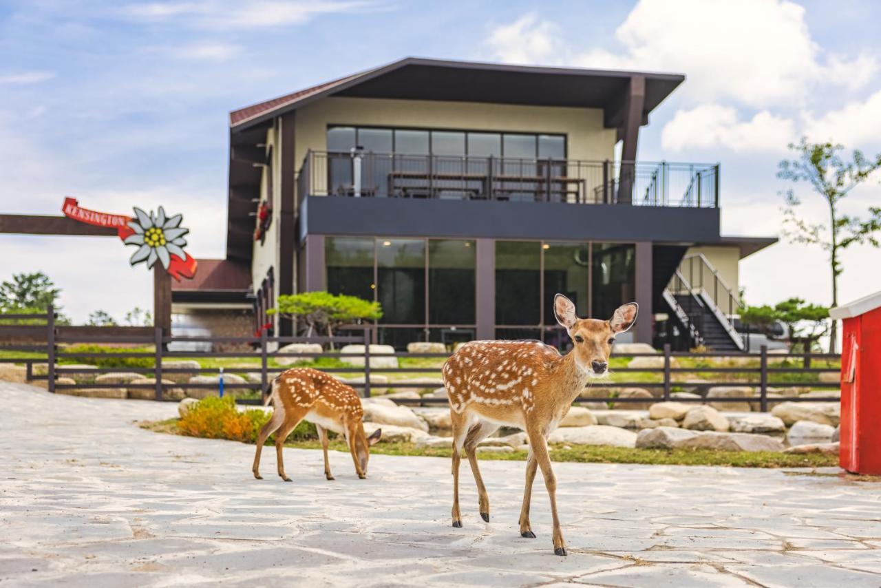 Kensington Resort Seorak Valley Sokcho Esterno foto
